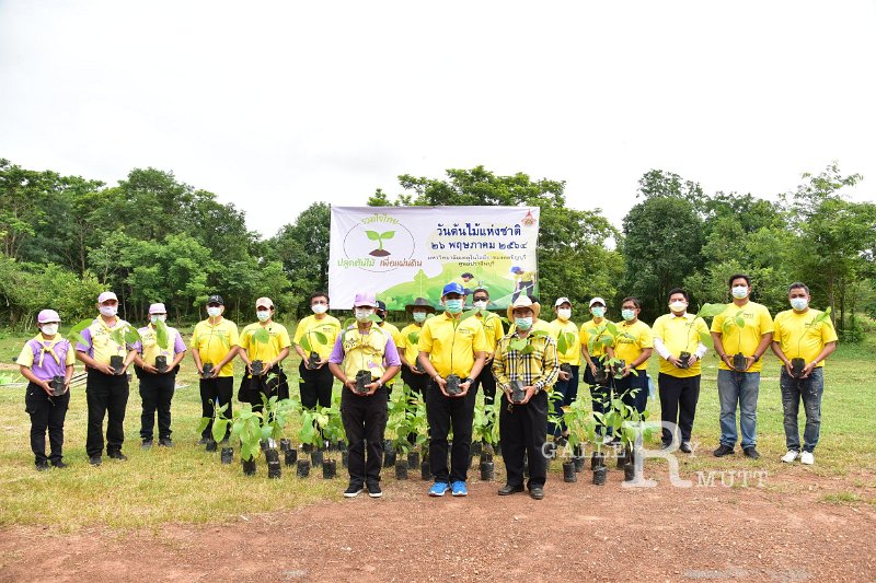 20210526-Tree planting dayt-128.JPG